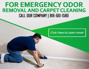 Our Services - Carpet Cleaning Tujunga, CA